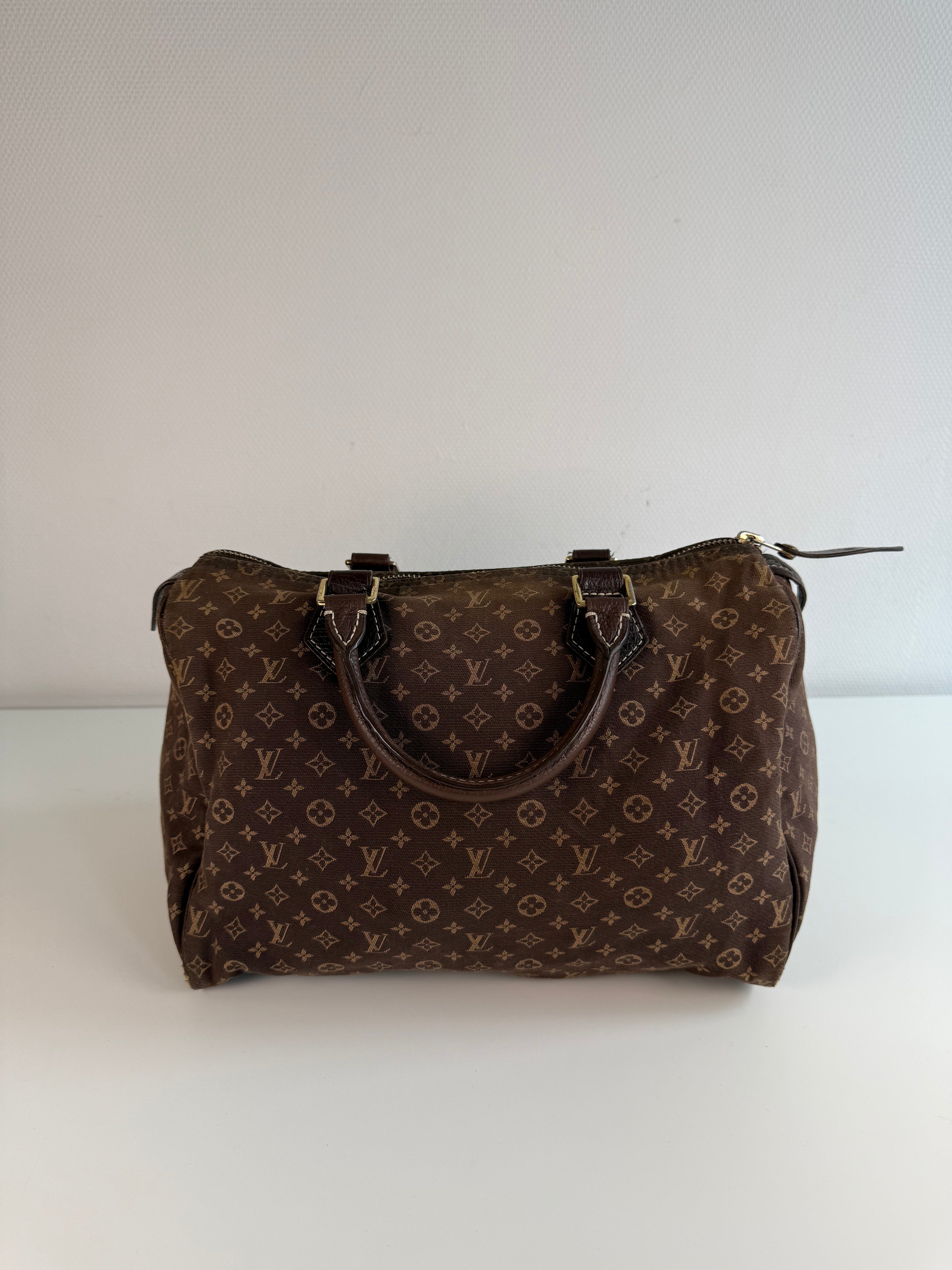 Speedy 30 en toile monogramme