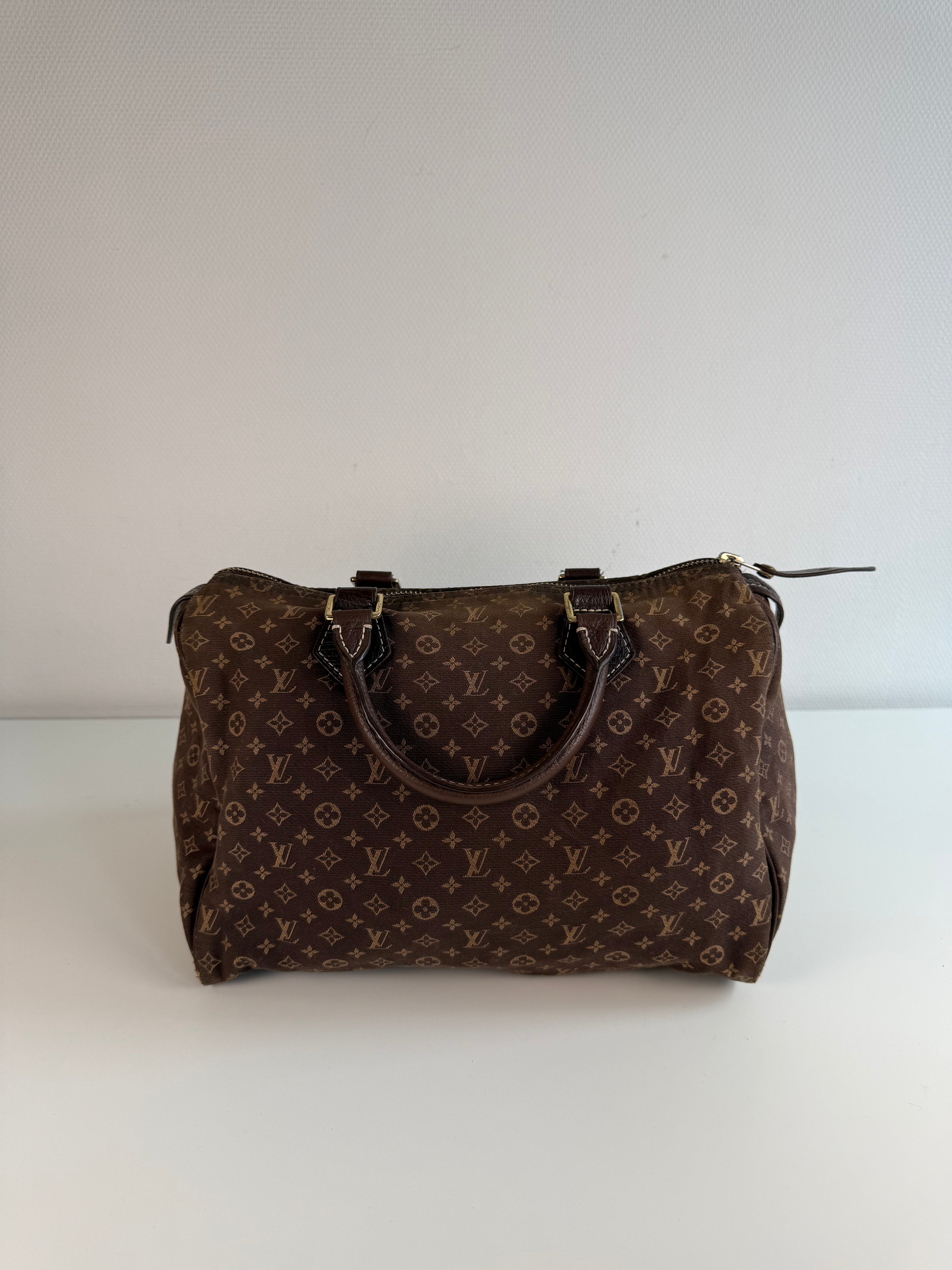 Speedy 30 en toile monogramme