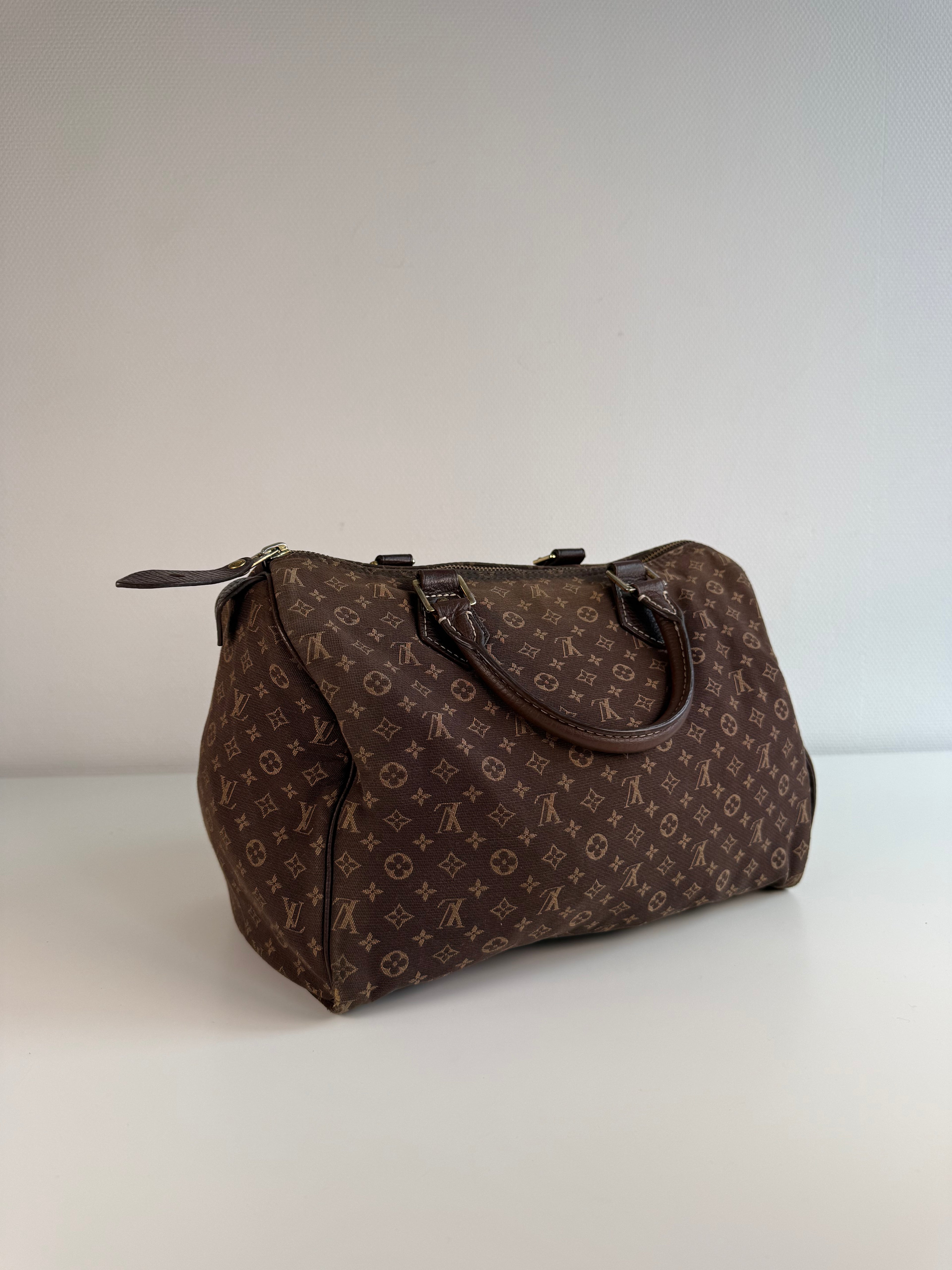 Speedy 30 en toile monogramme