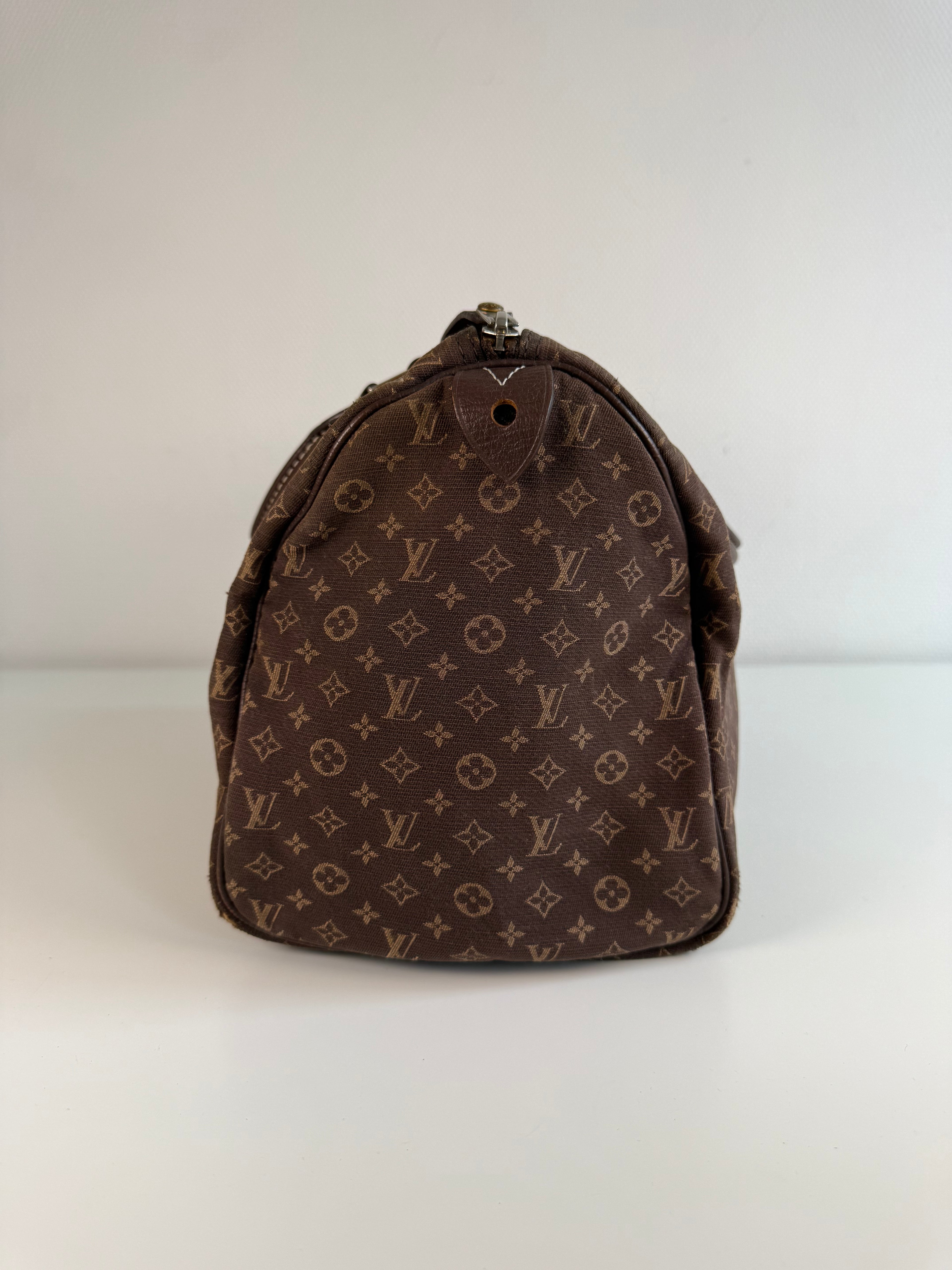 Speedy 30 en toile monogramme