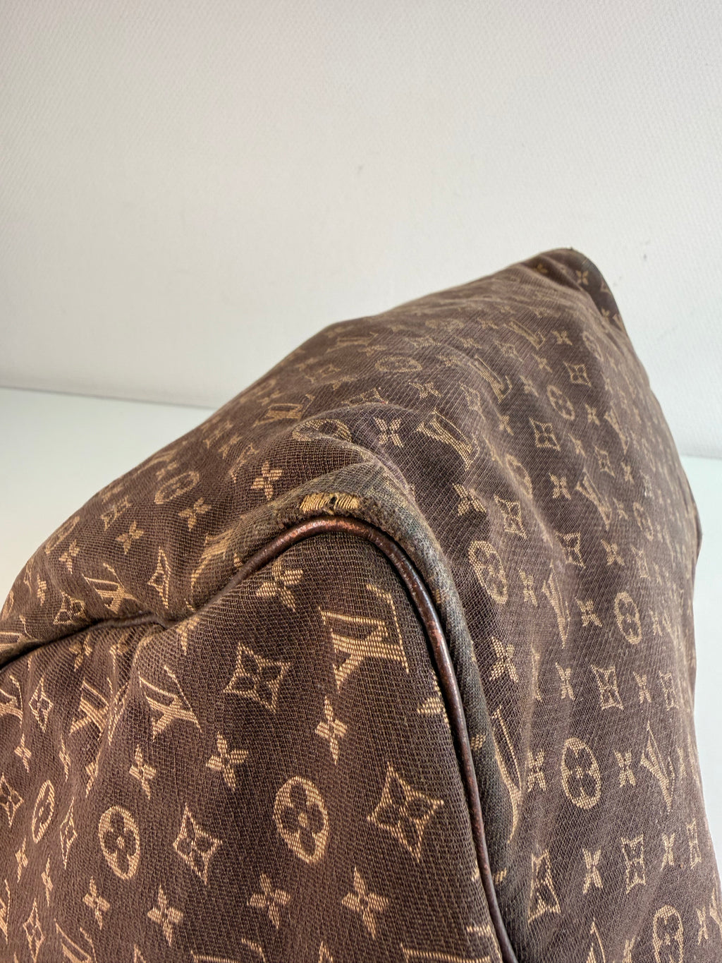 Speedy 30 en toile monogramme