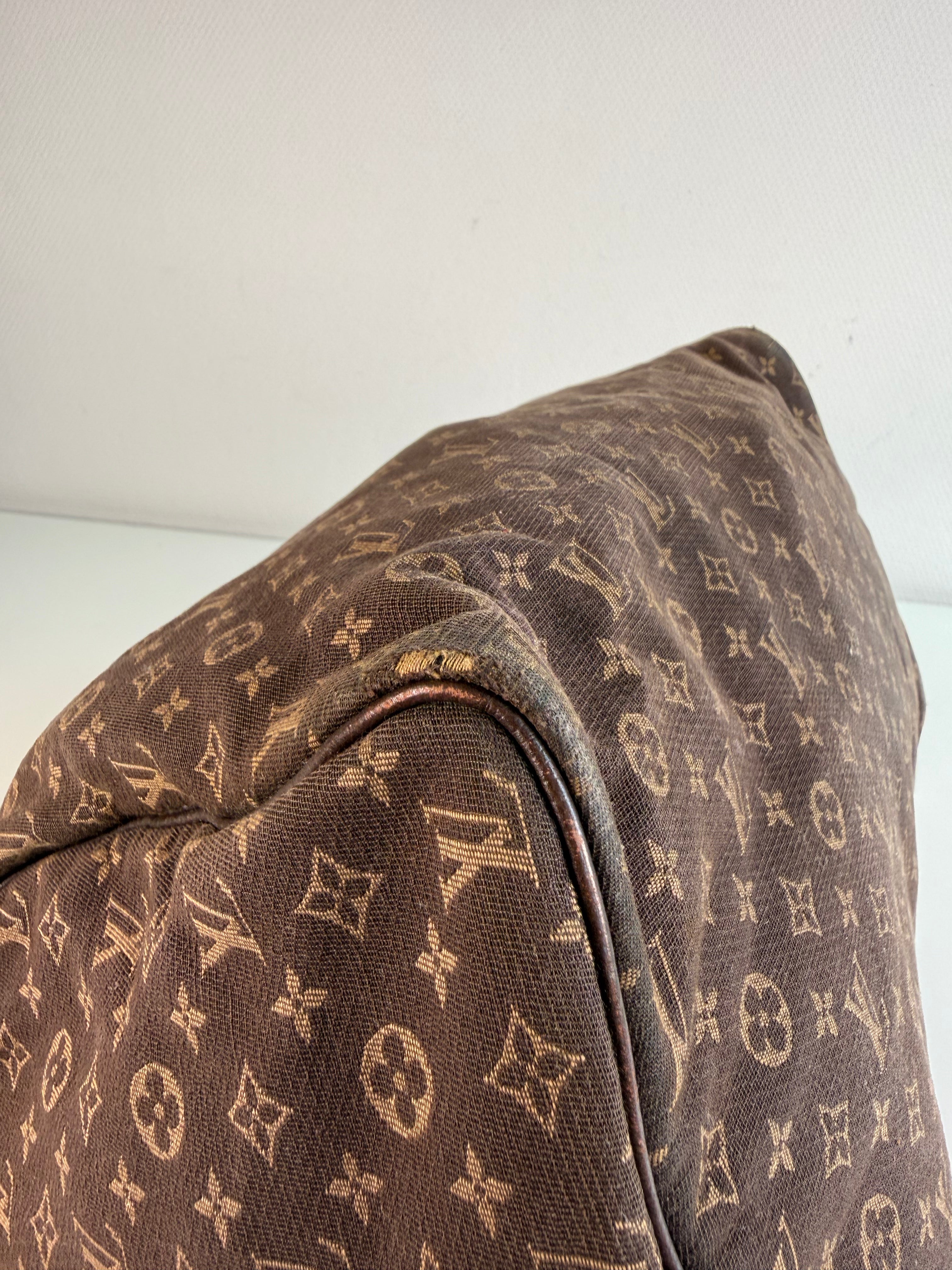 Speedy 30 en toile monogramme