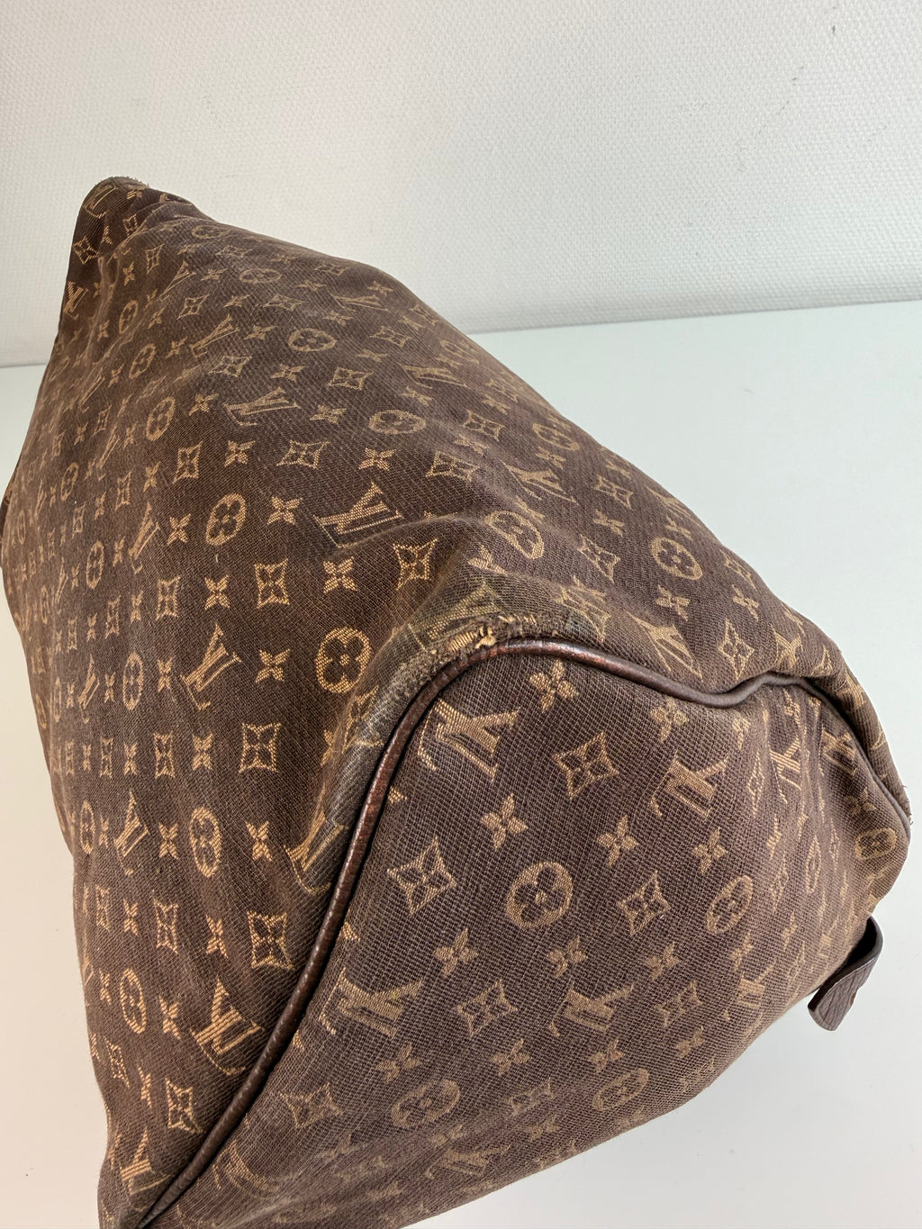 Speedy 30 en toile monogramme