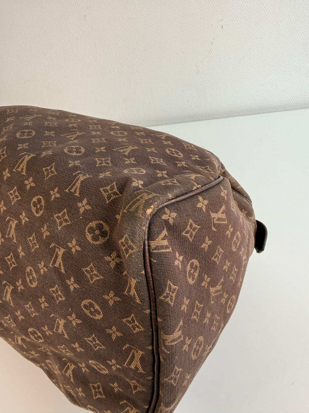 Speedy 30 en toile monogramme