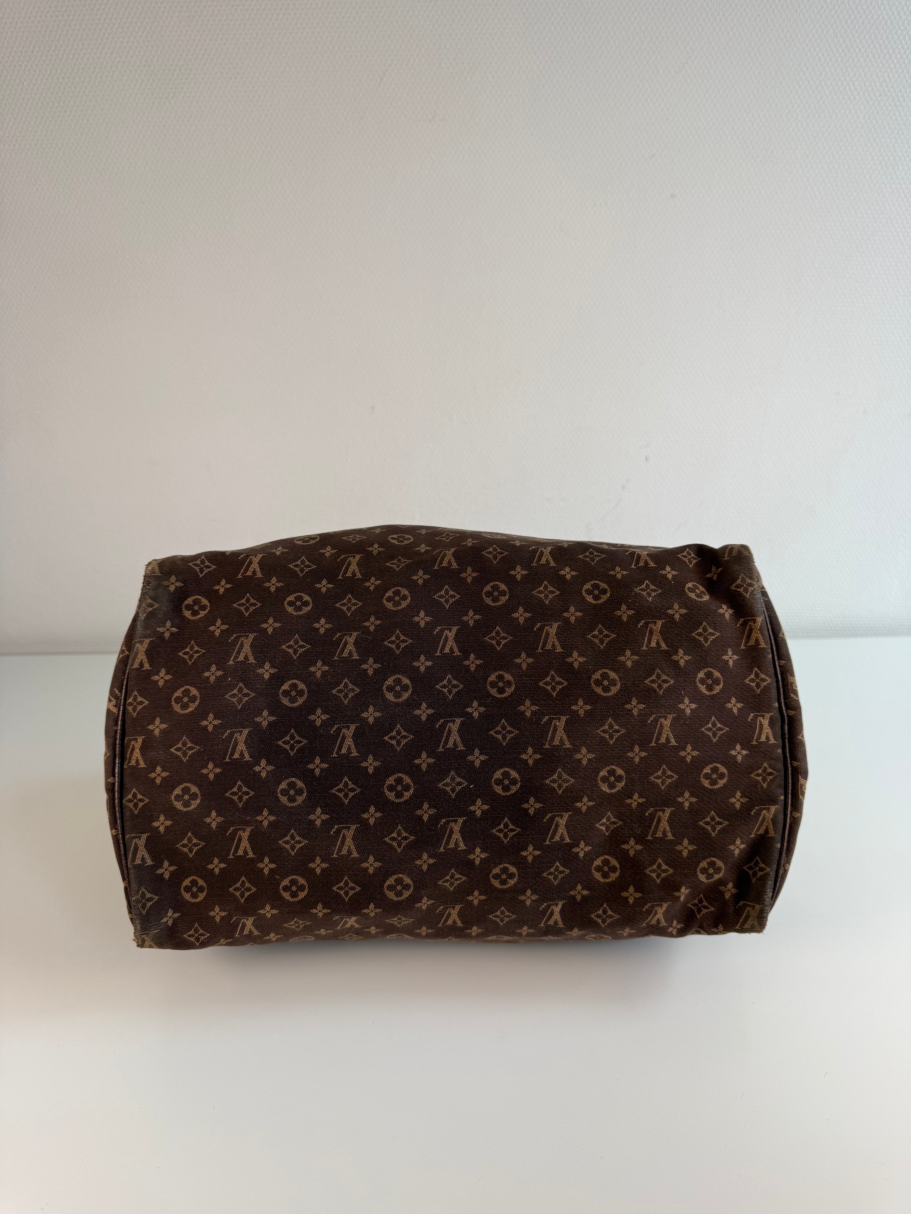 Speedy 30 en toile monogramme