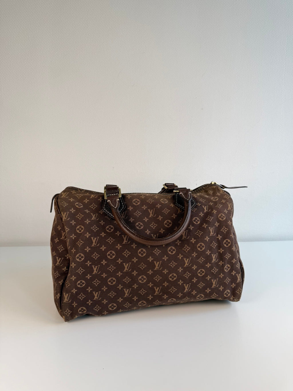Speedy 30 en toile monogramme