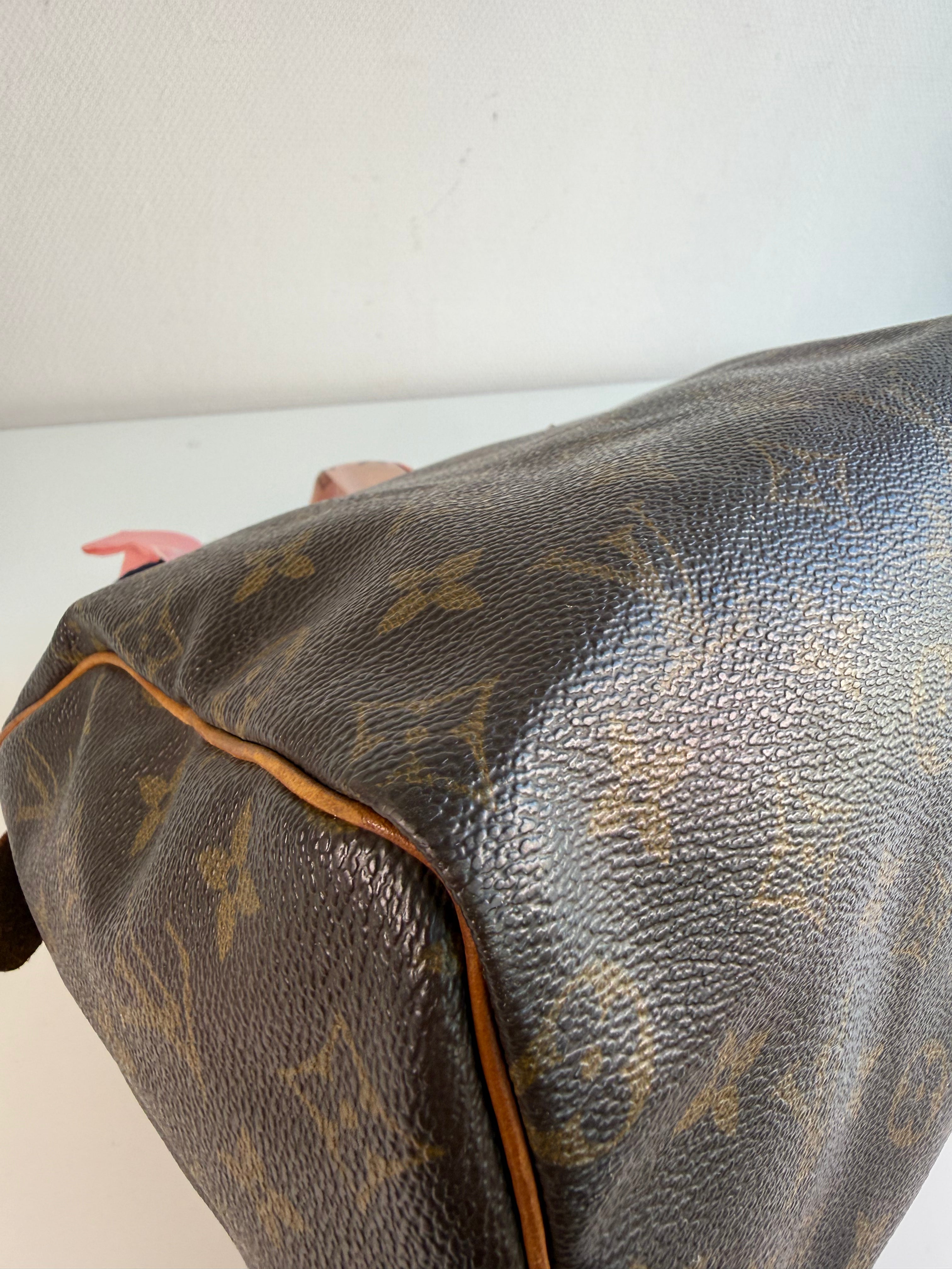 Speedy 25 en toile Monogram marron