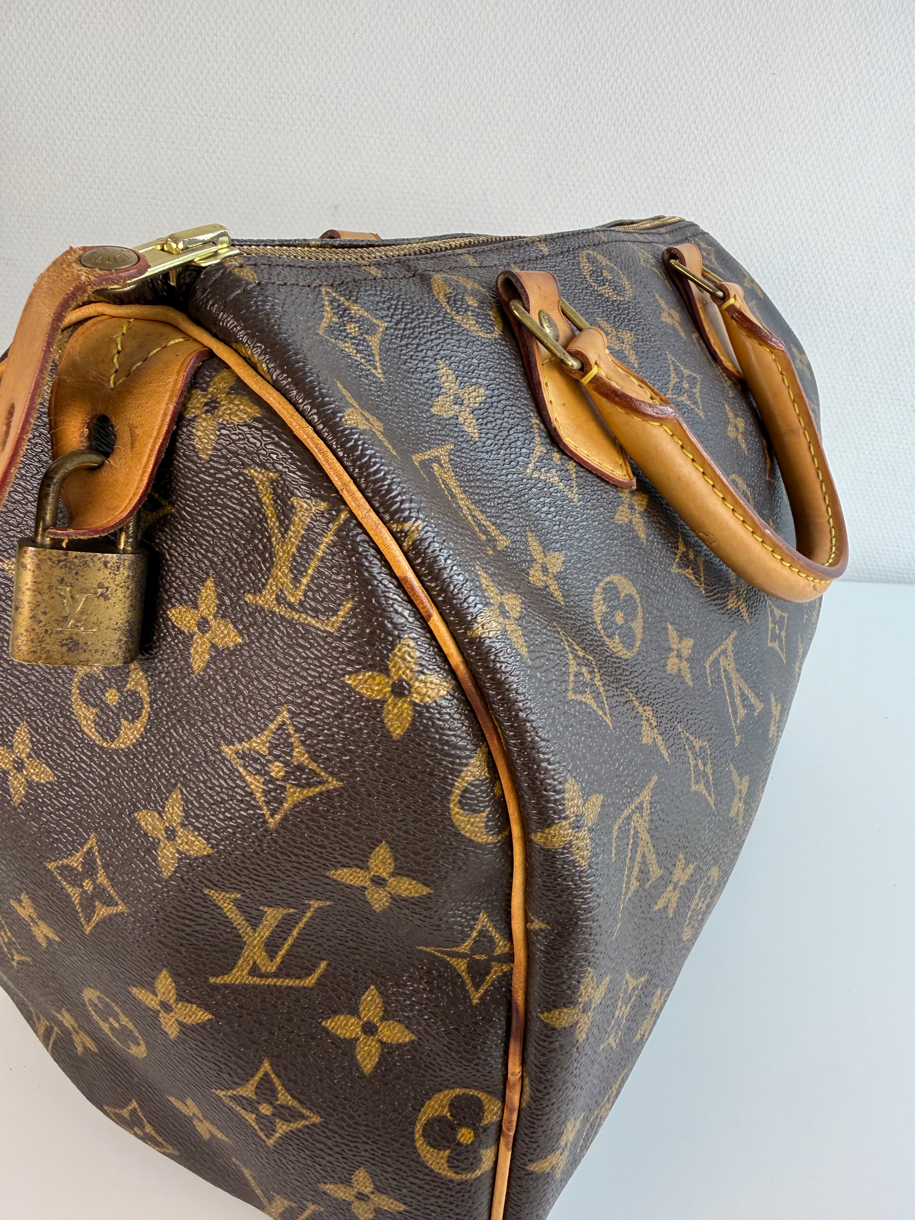 Speedy 30 en toile Monogram marron