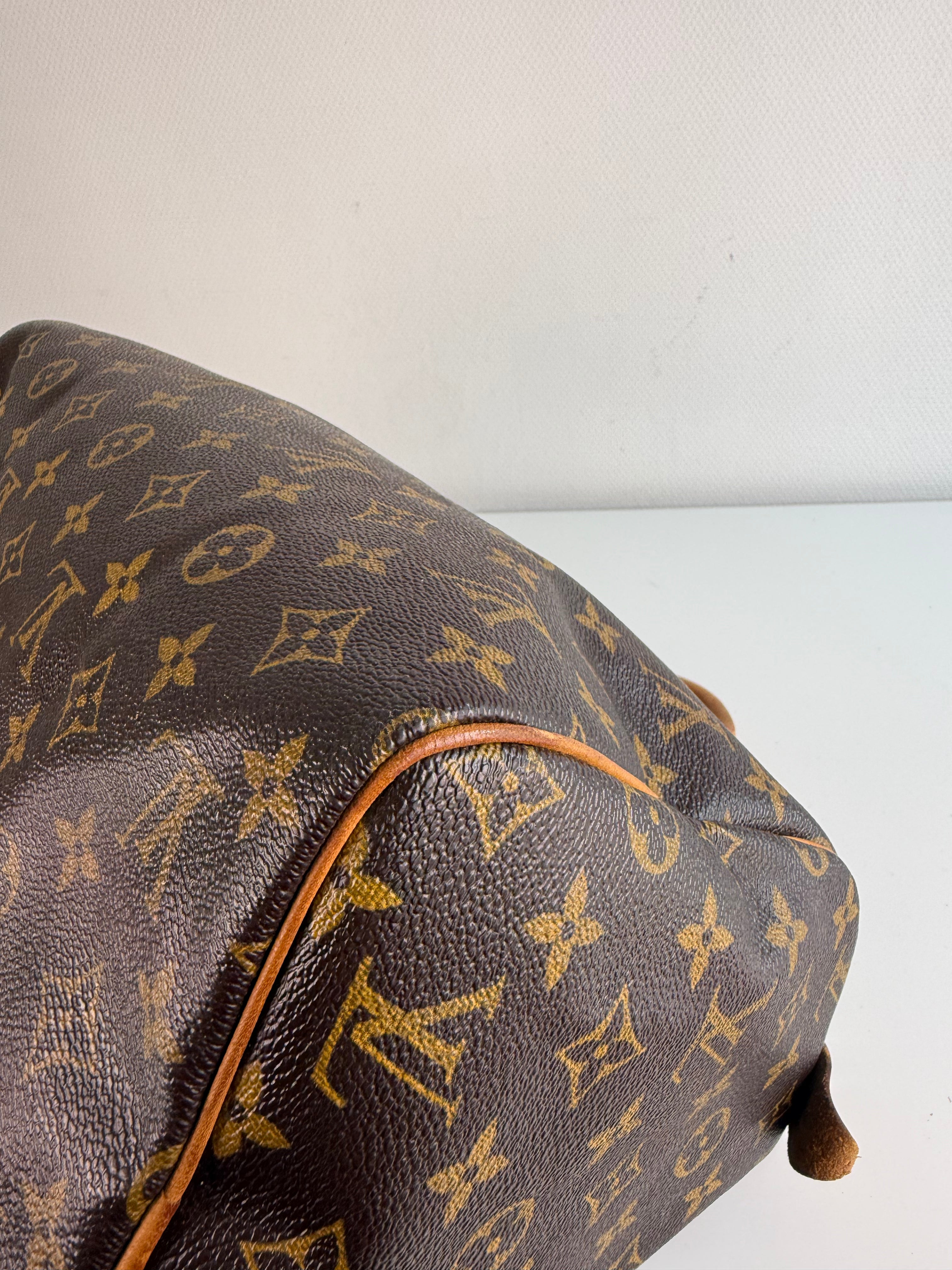 Speedy 30 en toile Monogram marron