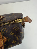 Speedy 30 Louis Vuitton