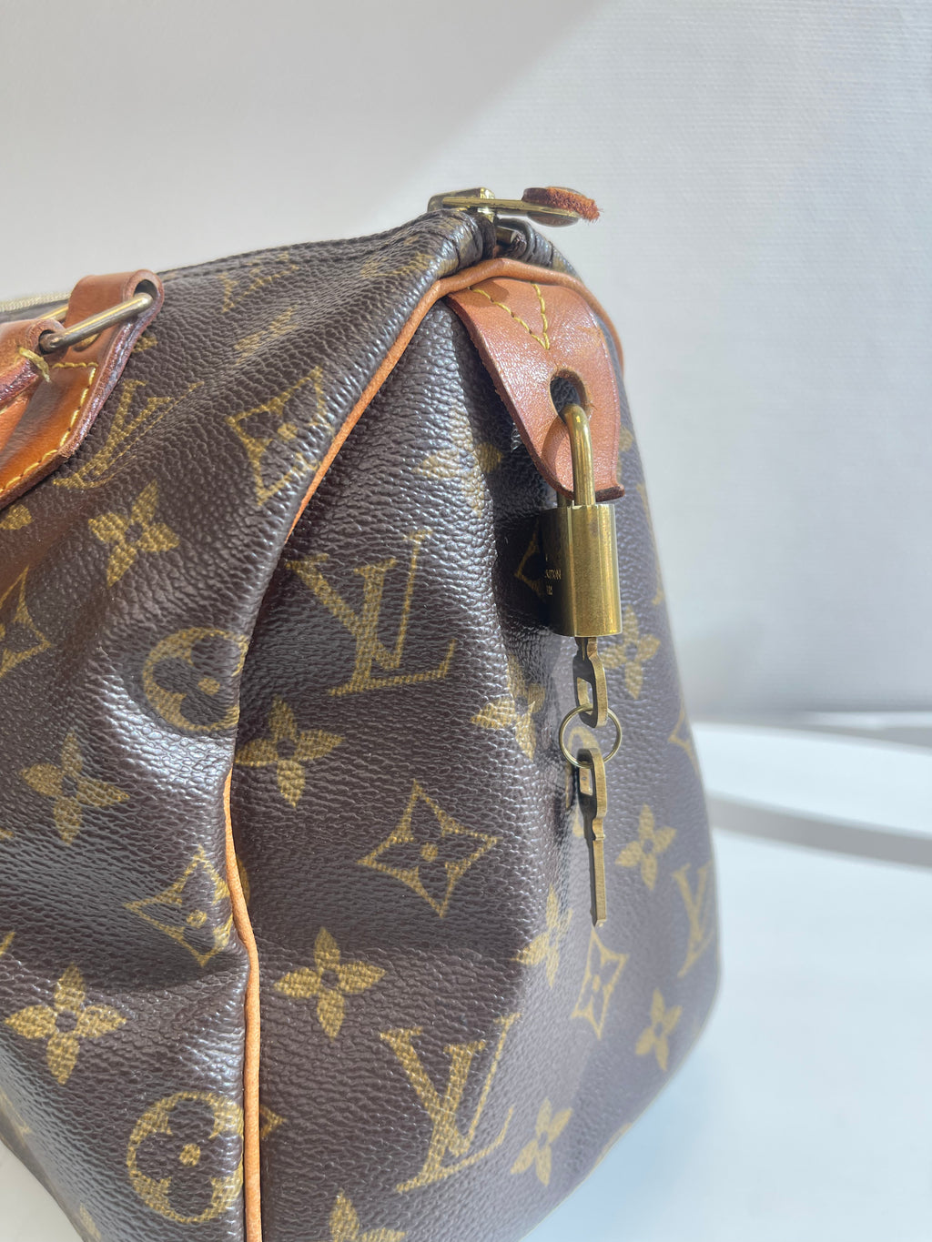 Speedy 25 en toile monogramme marron