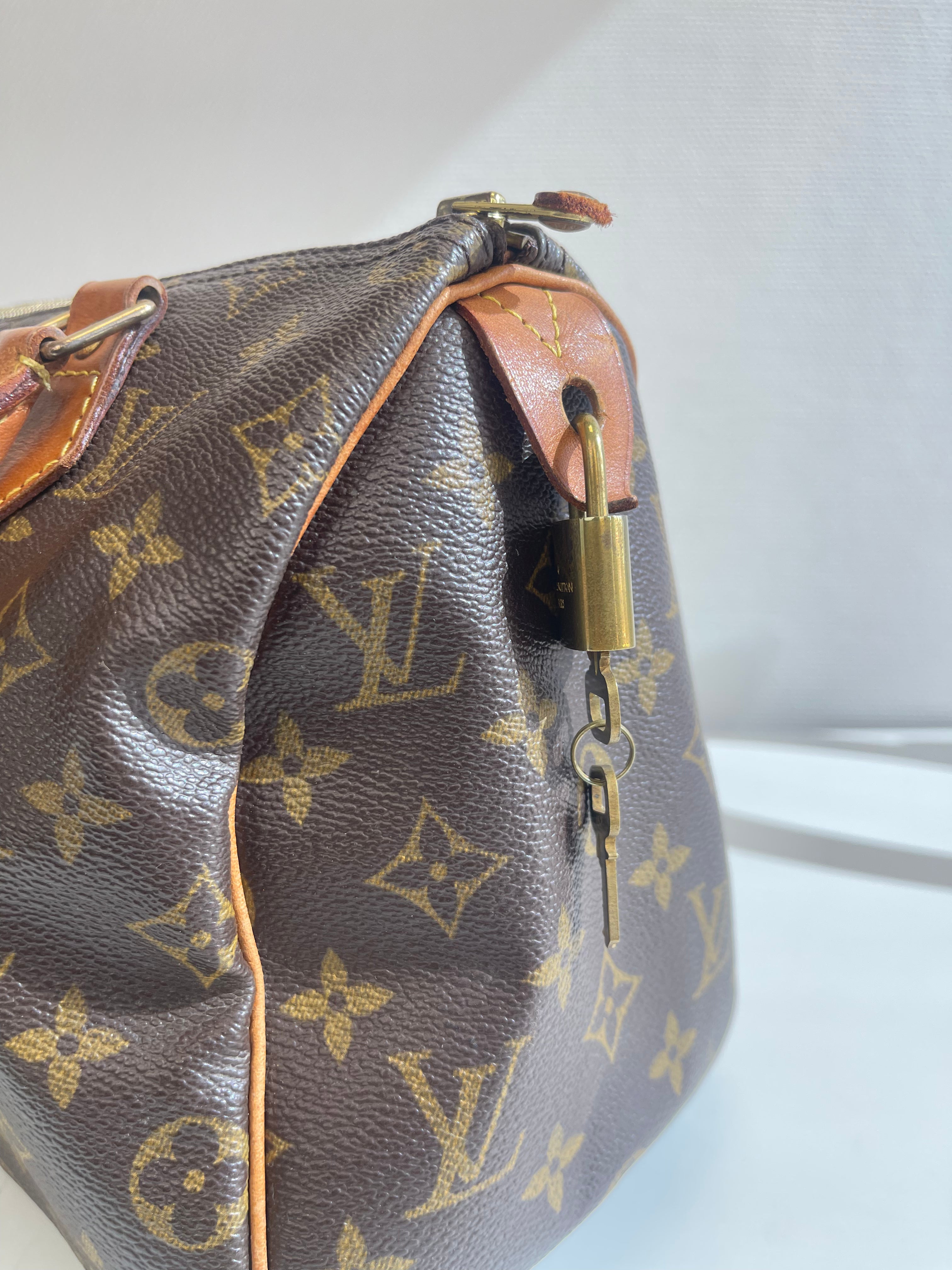 Speedy 25 en toile monogramme marron