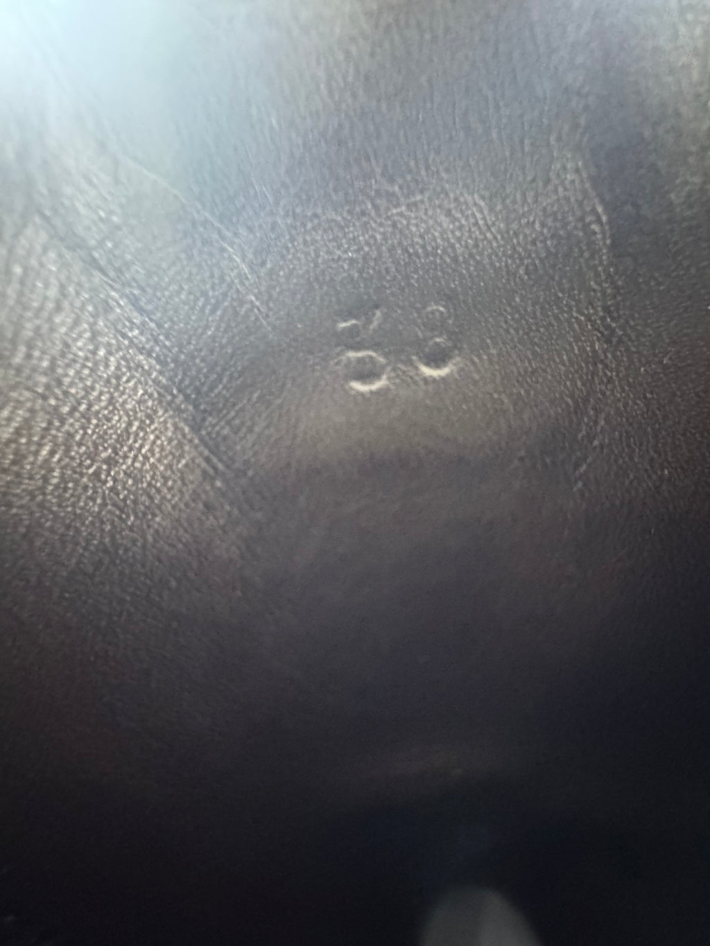 Bottes Bottega Veneta