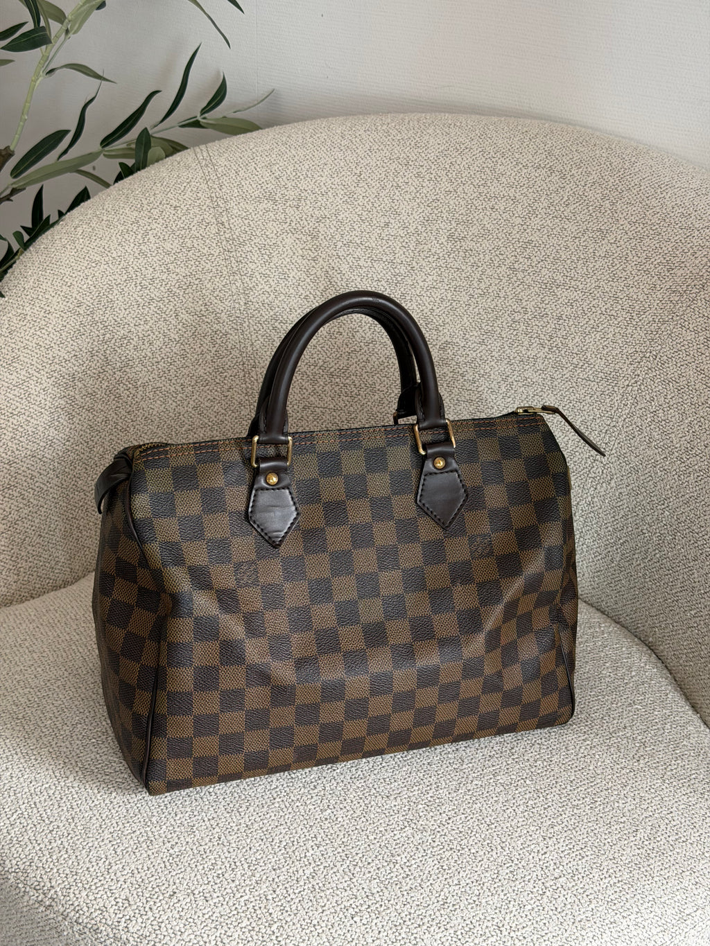 Speedy 30 en toile damier