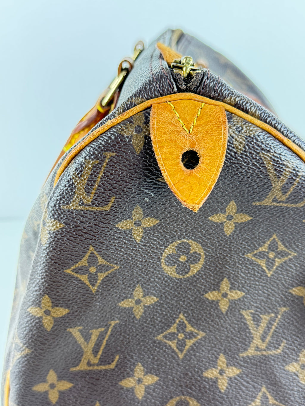 Speedy 30 Louis Vuitton