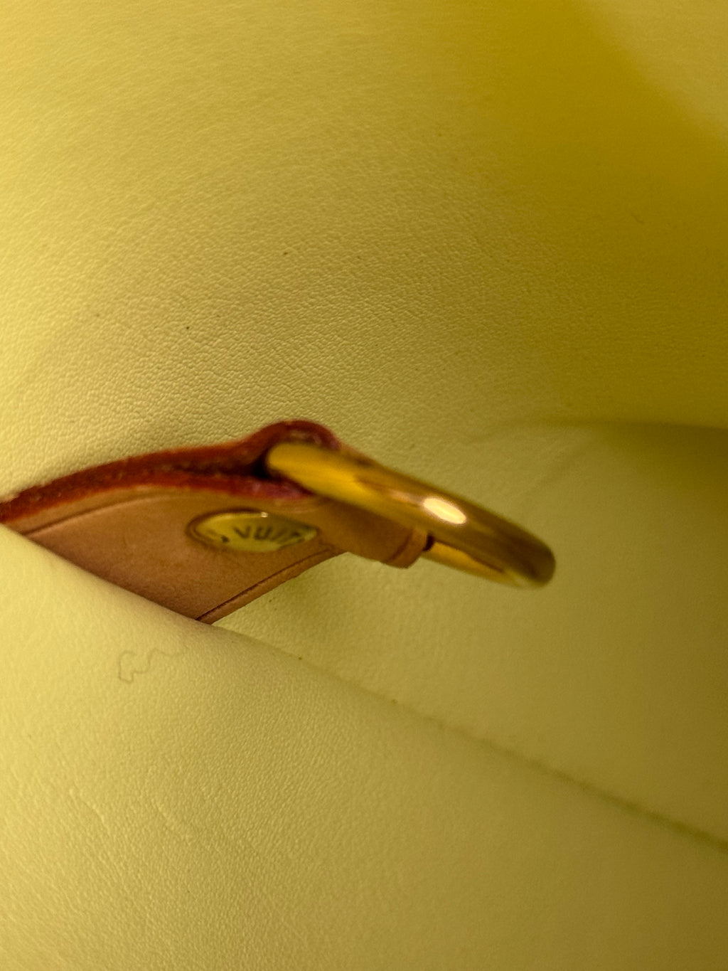 Sac Houston Louis Vuitton