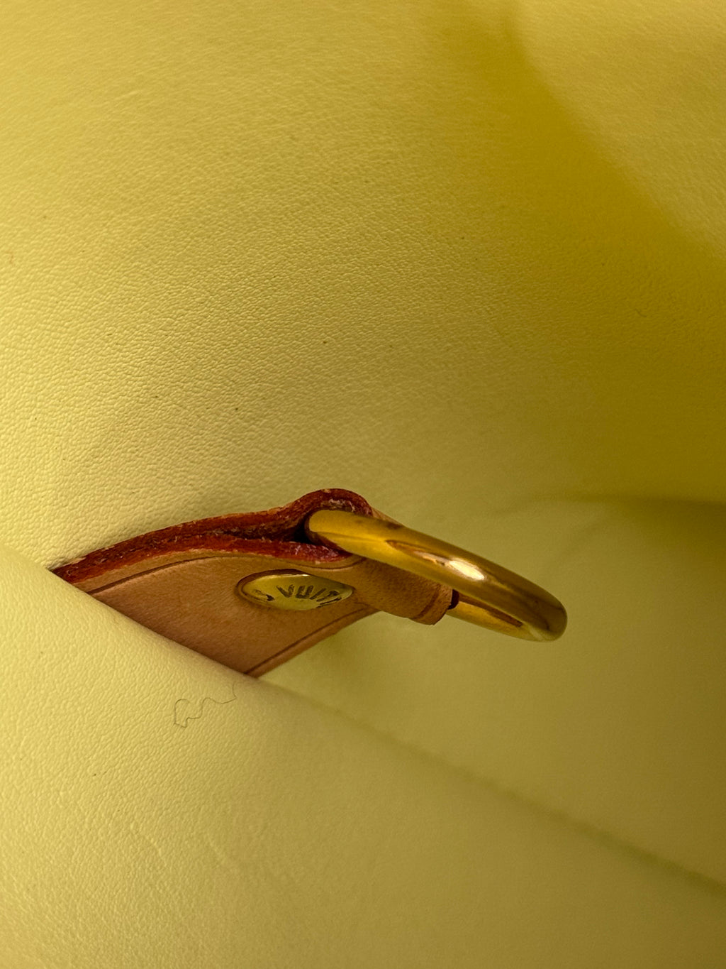 Sac Houston Louis Vuitton