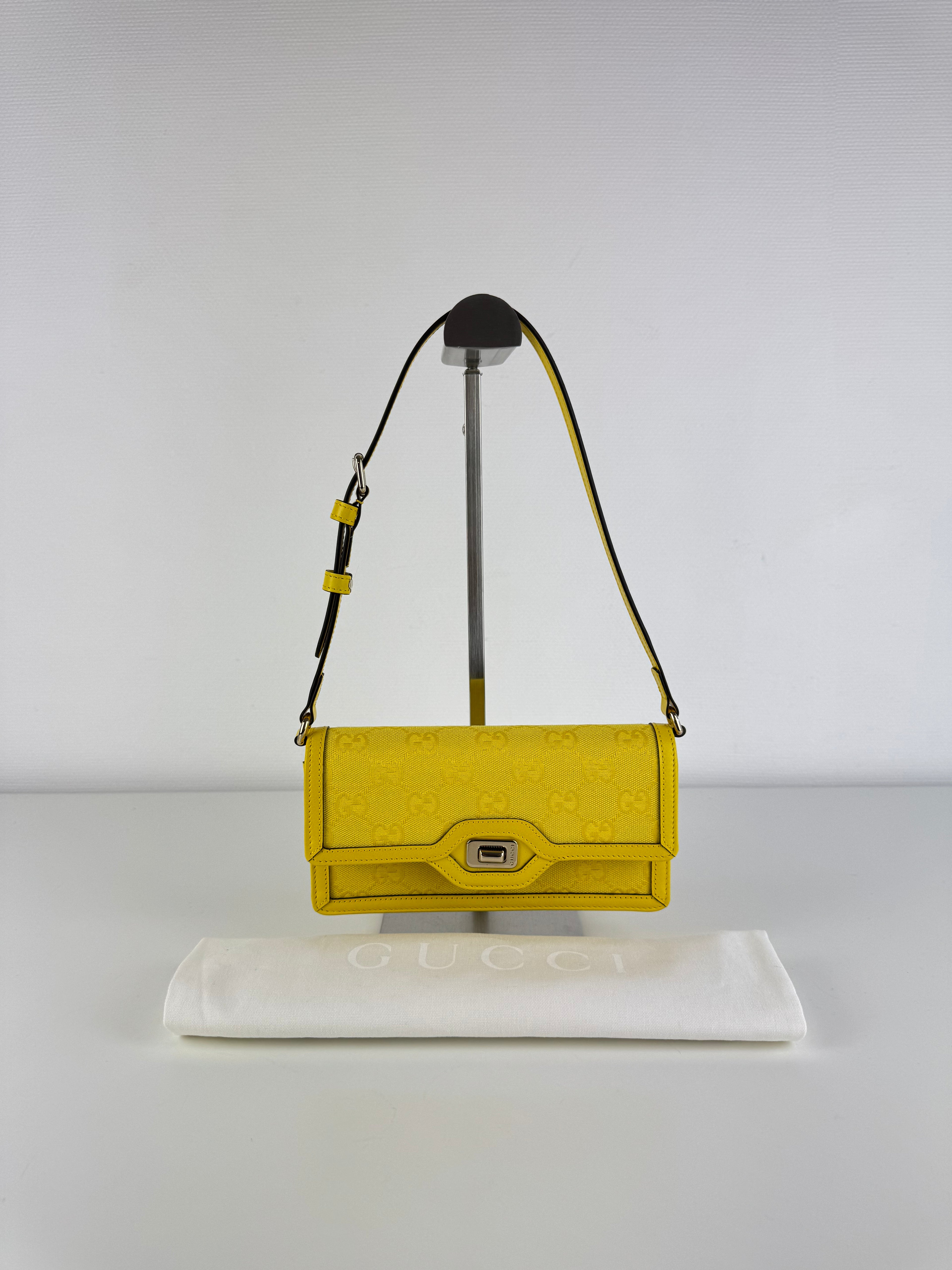 Sac Luce Gucci