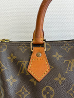 Speedy 25 en toile Monogram marron