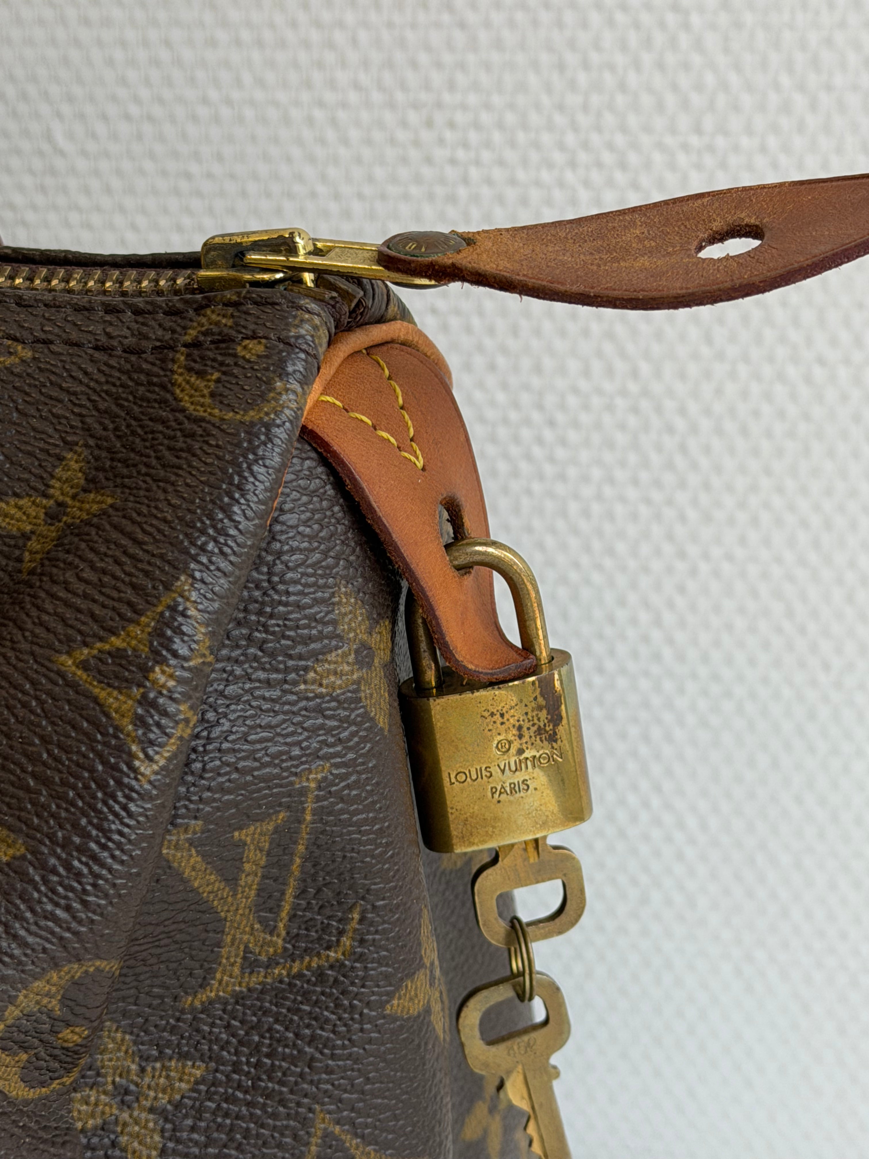 Speedy 25 en toile Monogram marron