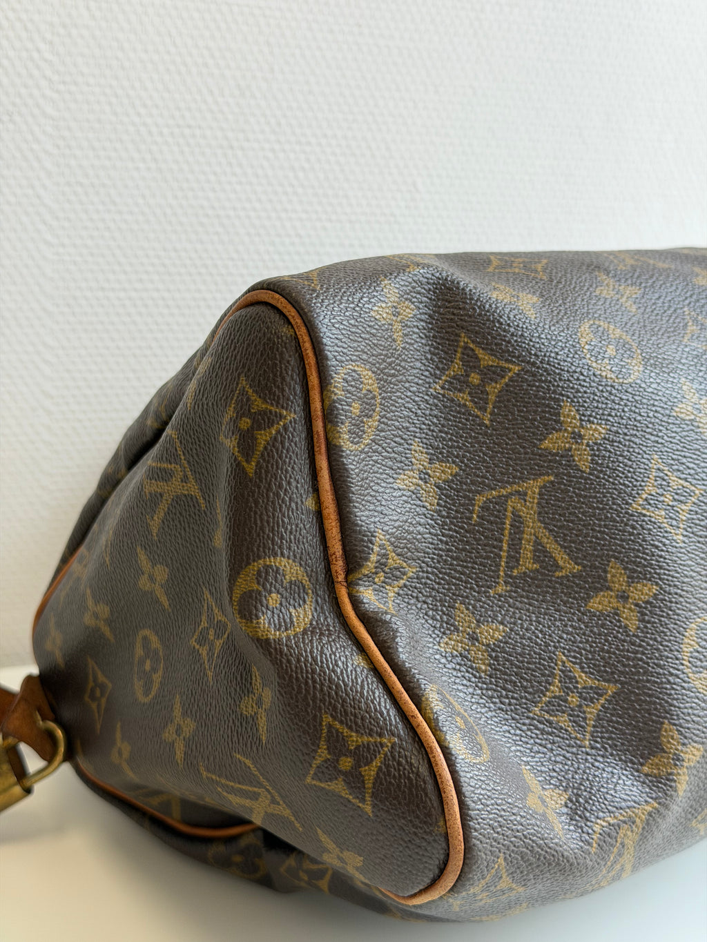 Speedy 25 en toile Monogram marron