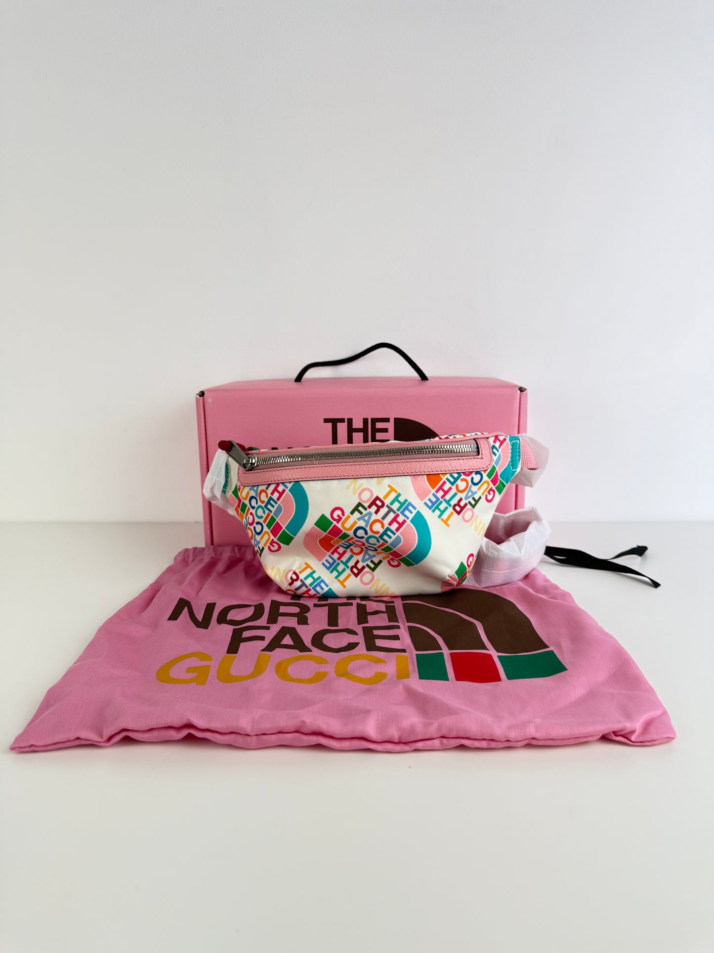 Sacoche Gucci x The North Face