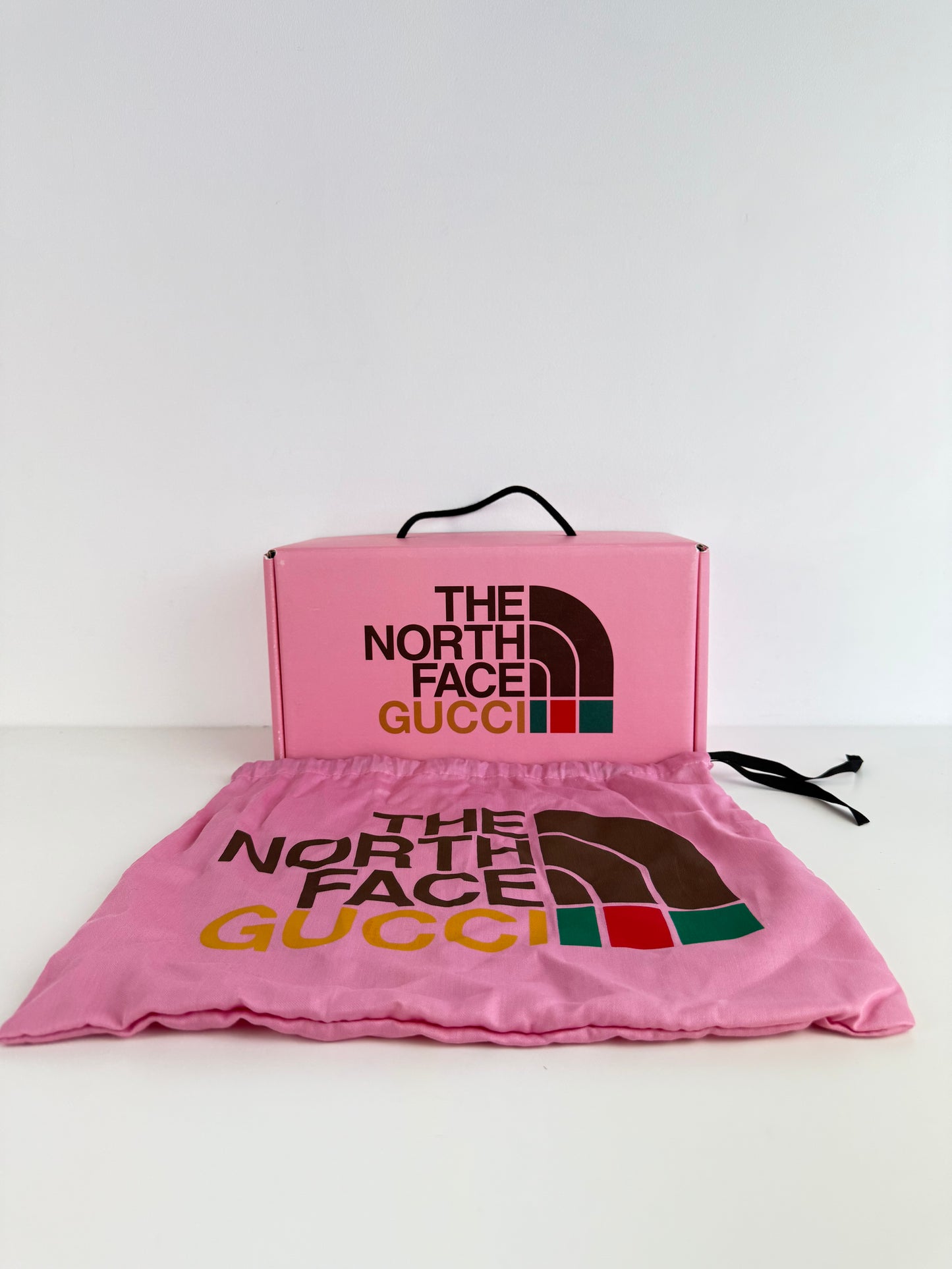 Sacoche Gucci x The North Face
