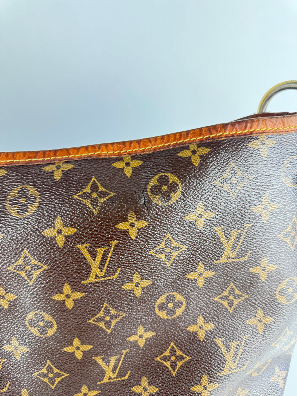 Delightful Louis Vuitton