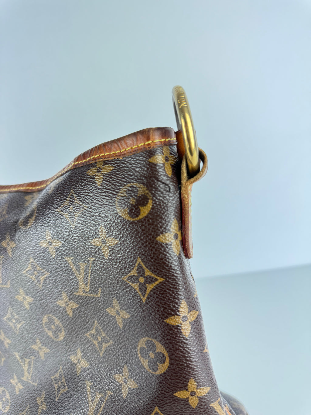 Delightful Louis Vuitton