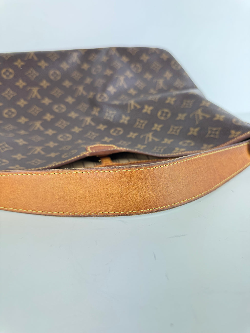 Delightful Louis Vuitton