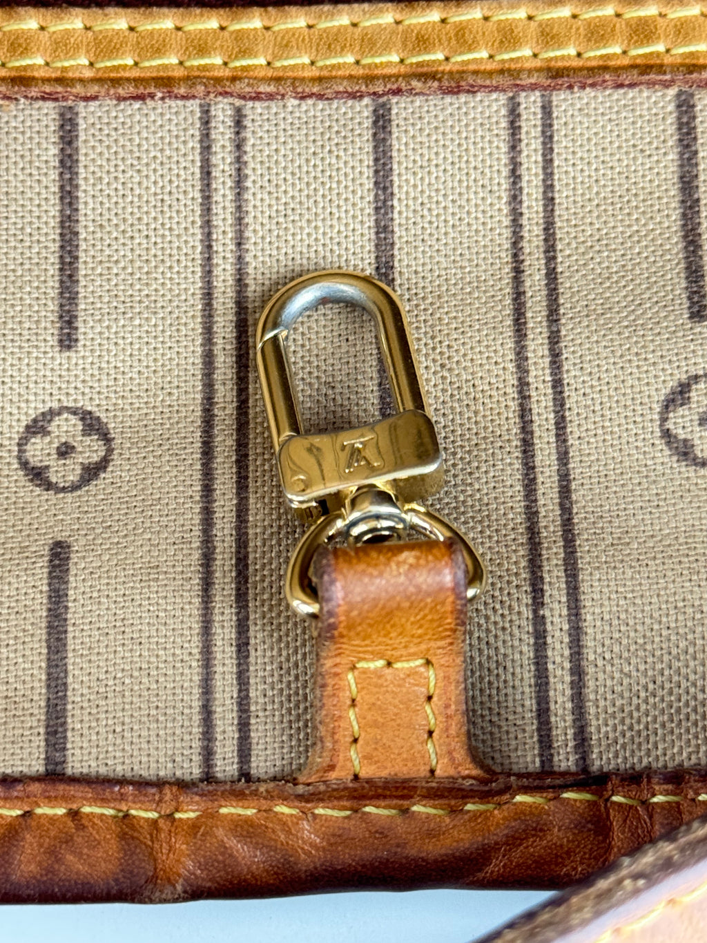Delightful Louis Vuitton