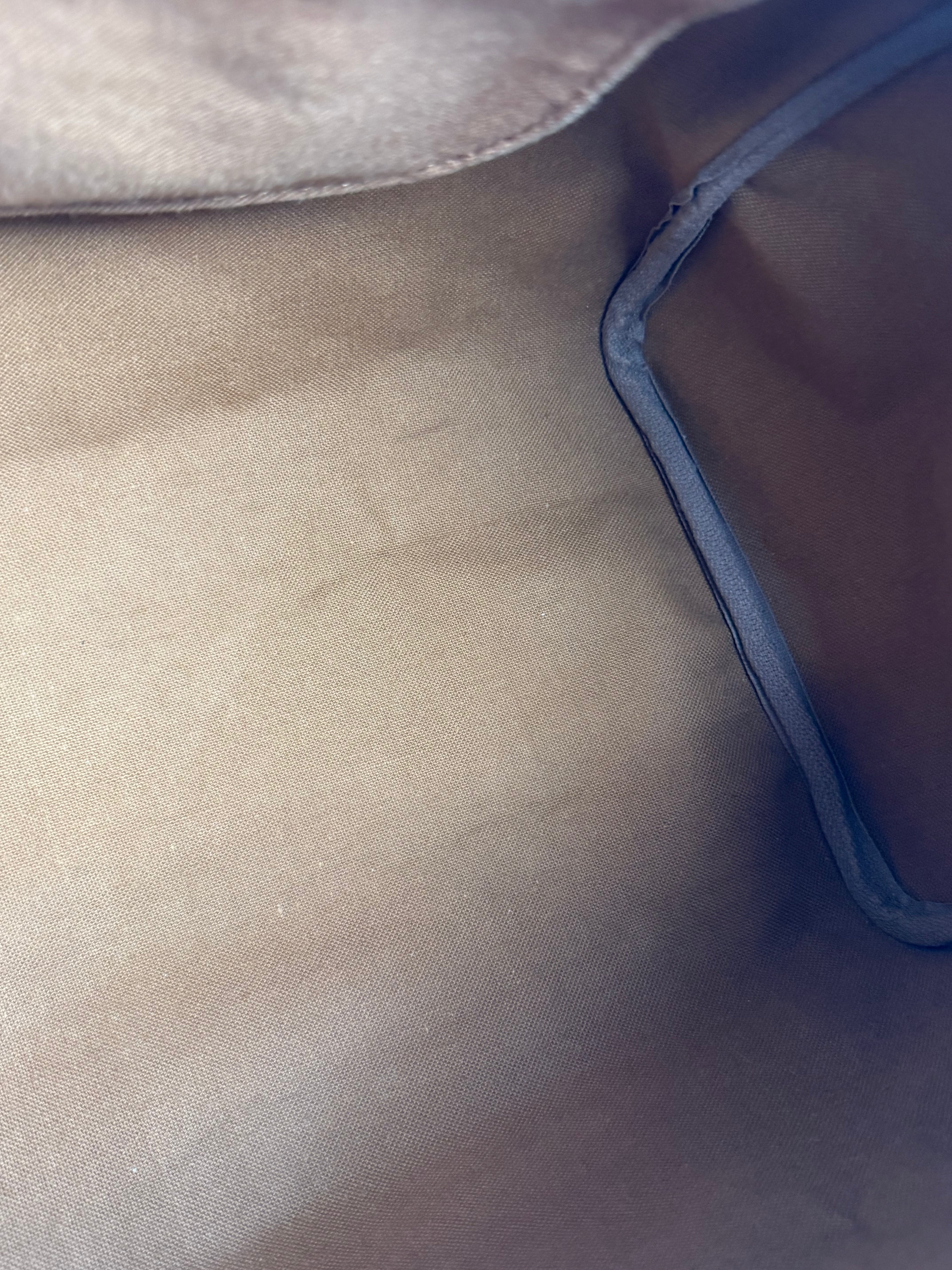 Speedy 30 en toile Monogram marron